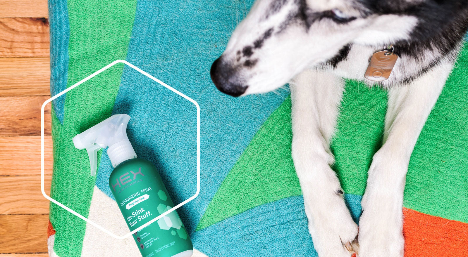 How to Clean Dog & Pet Beds