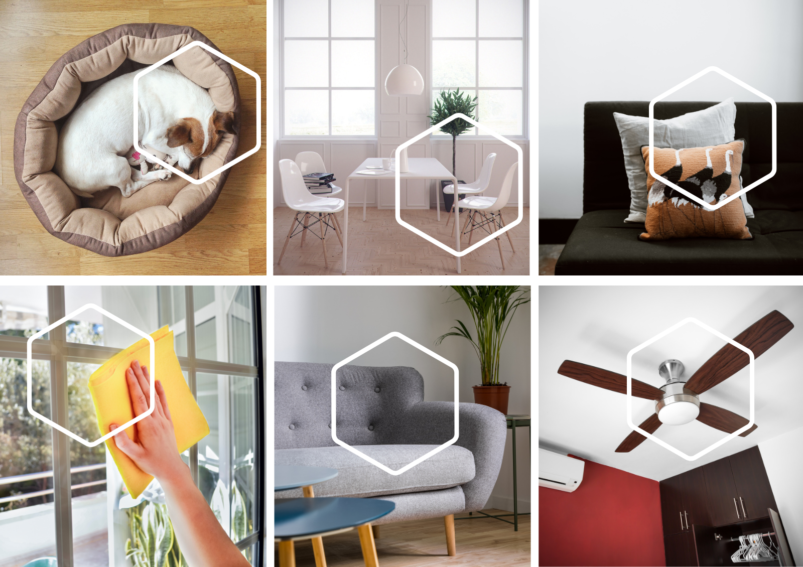 Boost Your Cleaning Routine: Overlooked Household Items That Deserve More Attention!